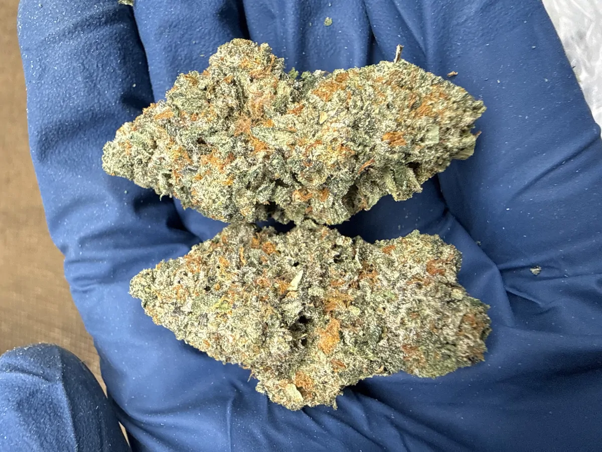 Acai Gelato Flower
